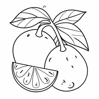 Pagina Para Colorir Fruta Laranja 14400-11332