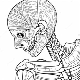 Anatomia E Fisiologia Páginas Para Colorir