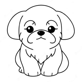 Shih Tzu Páginas Para Colorir