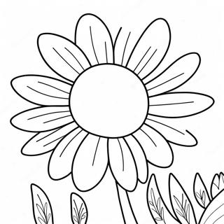 Pagina Para Colorir De Flor Margarida 470-375