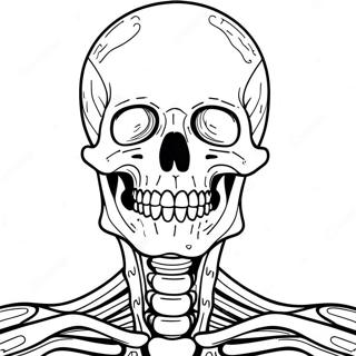 Pagina Para Colorir Da Anatomia Do Sistema Esqueletico 50353-39841