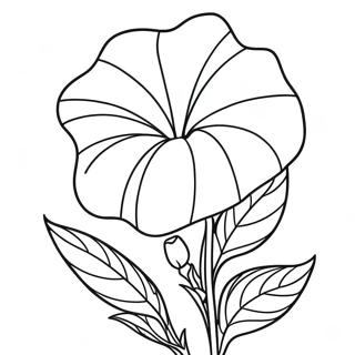 Pagina Para Colorir Da Flor Gloria Da Manha 67394-53321