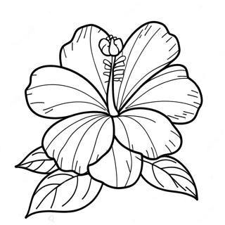 Pagina Para Colorir De Flor De Hibisco 6990-5565