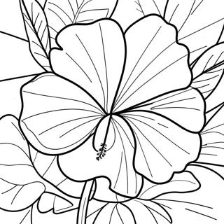 Pagina Para Colorir De Hibisco Tropical 6991-5569